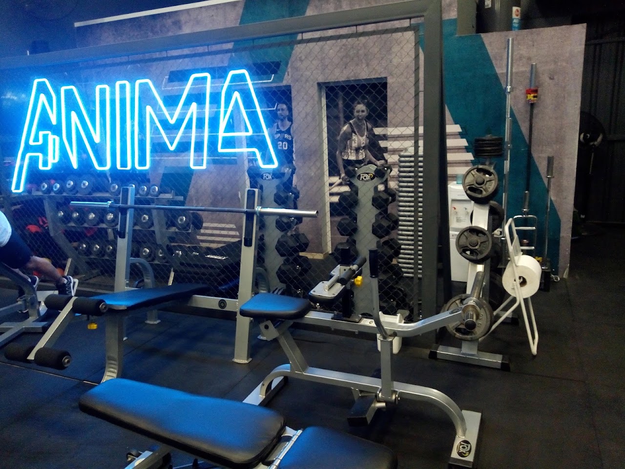 Equipamiento de musculación en ANIMA MORENO